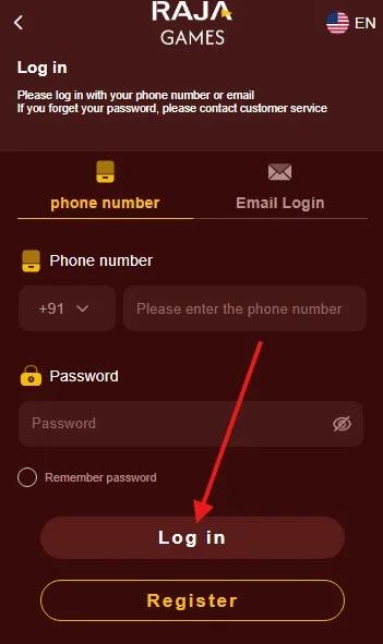 Click on the login button
